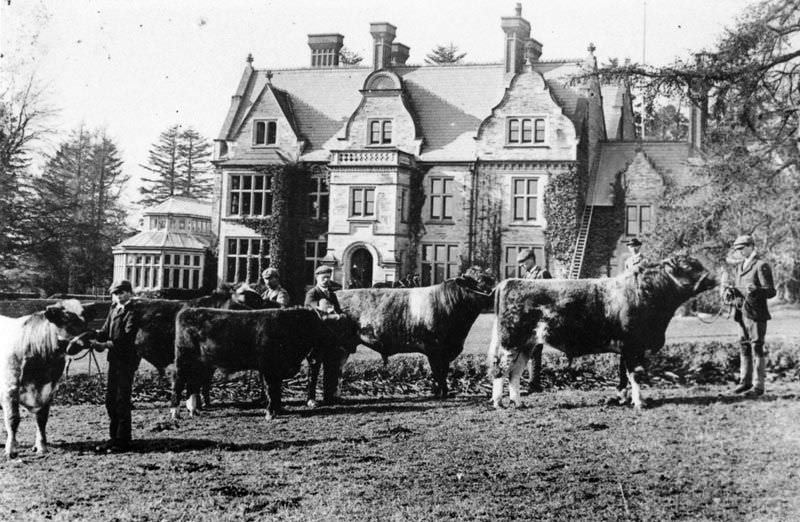 Rare Historical Photos of Rural Life Around the Cilgerran District of Dyfed, West Wales in the early 1900s