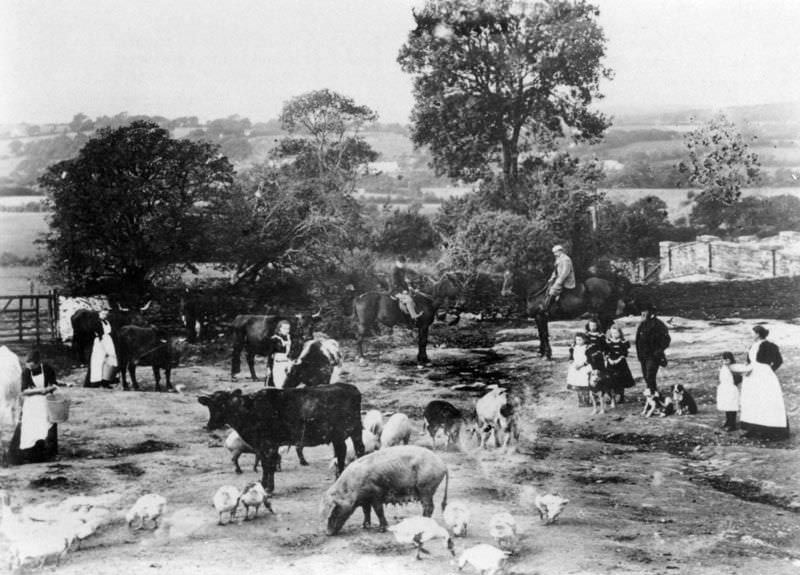 Rare Historical Photos of Rural Life Around the Cilgerran District of Dyfed, West Wales in the early 1900s