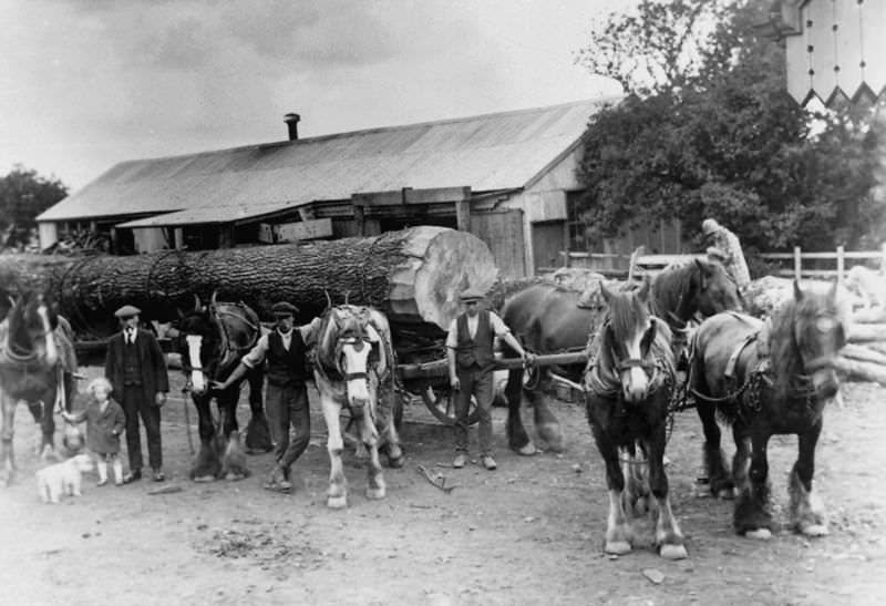 Rare Historical Photos of Rural Life Around the Cilgerran District of Dyfed, West Wales in the early 1900s