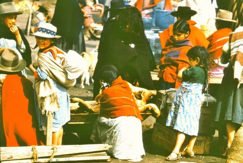 Ecuador. Old lady in black has just unloaded smoked pig from stooped back, children helping, 1959