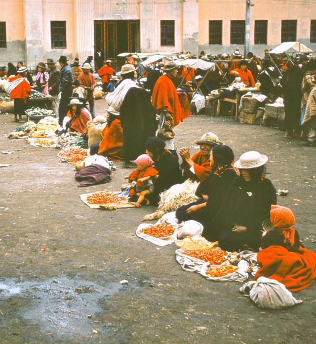 Ecuador. Cajabamba hot peppers, food highly seasoned, 1959