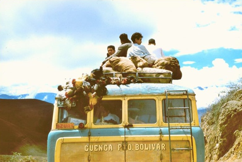 Ecuador. Chickens going to market, tied by feet in big bundle but all still alive, 1959