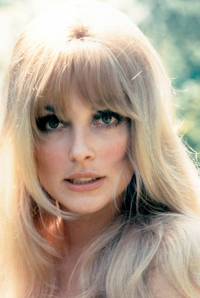 Glamorous Portraits of Sharon Tate by Orlando Suero in 1965