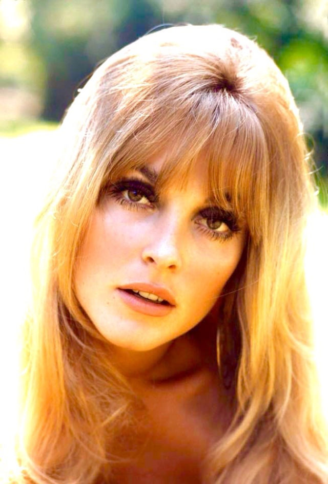 Glamorous Portraits of Sharon Tate by Orlando Suero in 1965