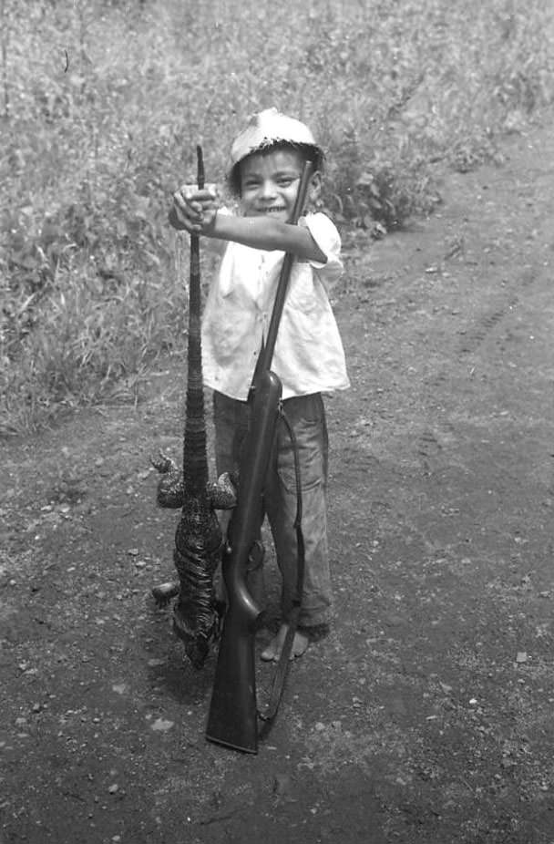 A boy, an iguana, and a gun