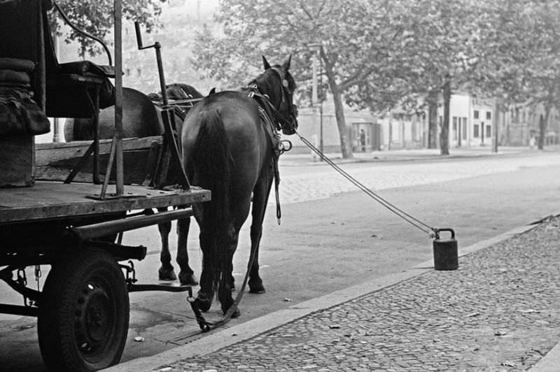 Life in East Berlin during the 1970s and 1980s Through the Lens of Bernd Heyden