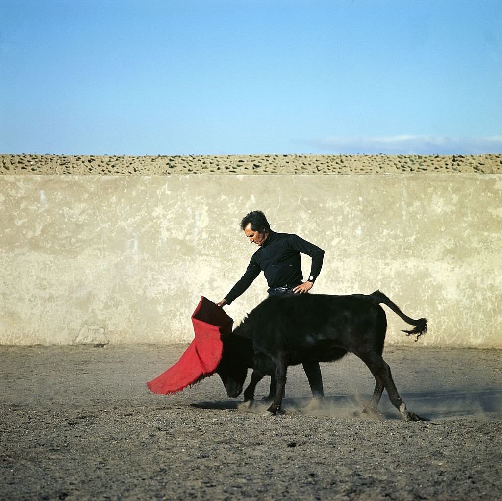 Famous Bullfighter Luis Miguel Dominguin Practicing with a bull, Cuenca, 1964