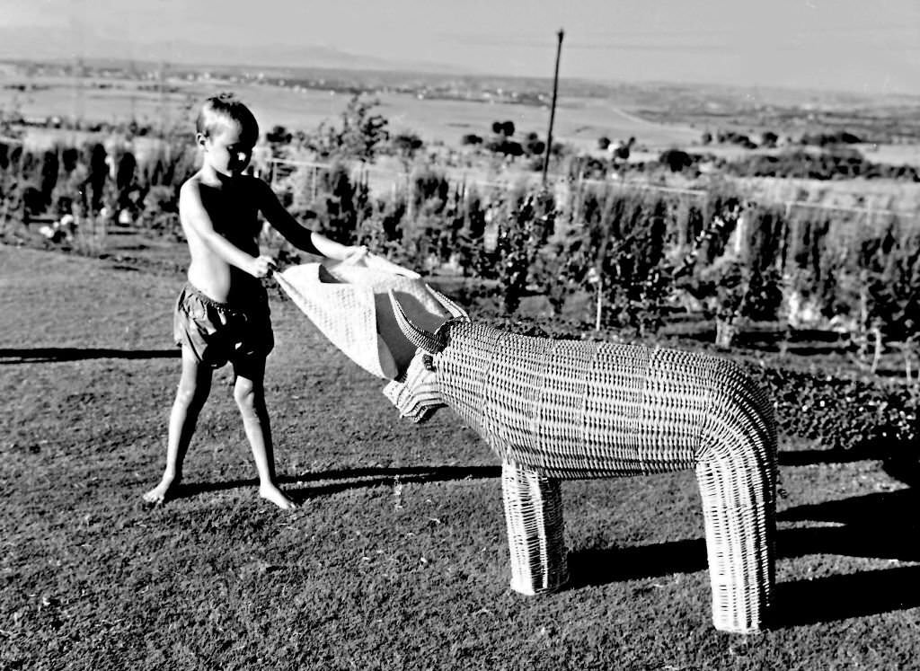 Miguel Bose with a "bull" in Cuenca, 1965