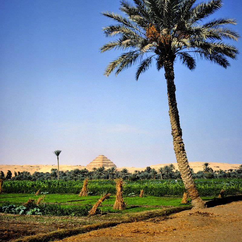 Step Pyramid of Djoser, circa 2660 BCE, 3rd Dynasty, and local farmland, Saqqara, Egypt