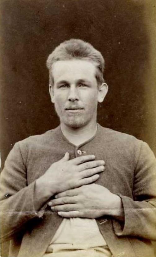 Andrew Dawson (b. 1865, New Zealand). Charged with larceny and sentenced to 6 months in gaol on March 29, 1888 (Napier).