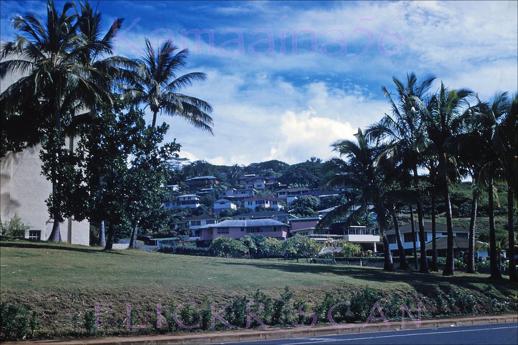 Mauka view of Makiki Heights from the corner of Nehoa Street and Mott Smith Drive behind Punchbowl Crater, 1955.