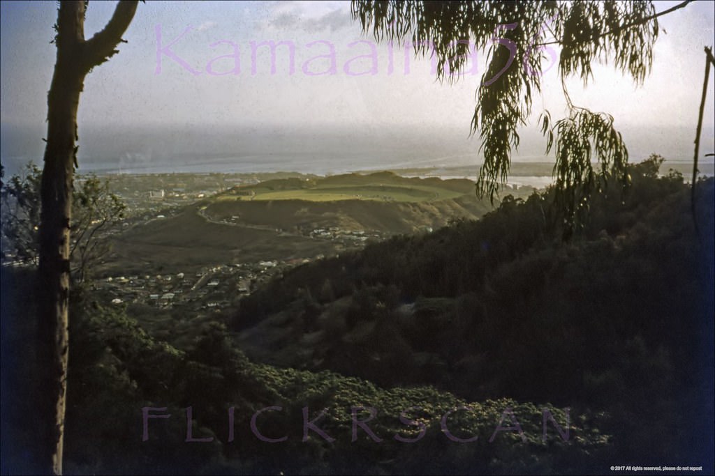 Hazy late afternoon view from Tantalus Drive looking out over Punchbowl Crater and Honolulu, 1950s.