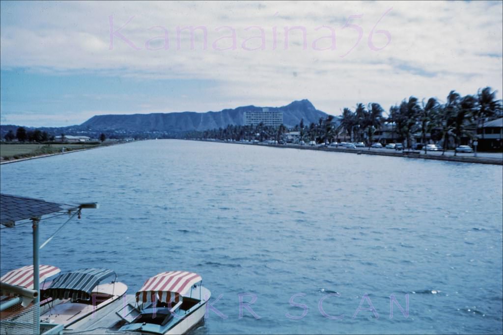 U-drive Boats Ala Wai Waikiki, 1950s