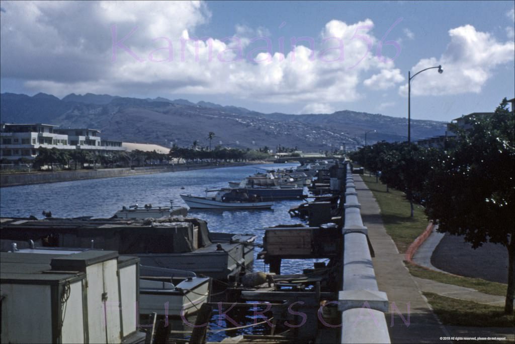 Ala Wai Canal Mauka View, 1950s