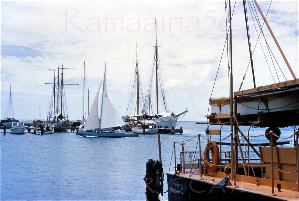 Small boat harbor between Waikiki and Honolulu, 1955