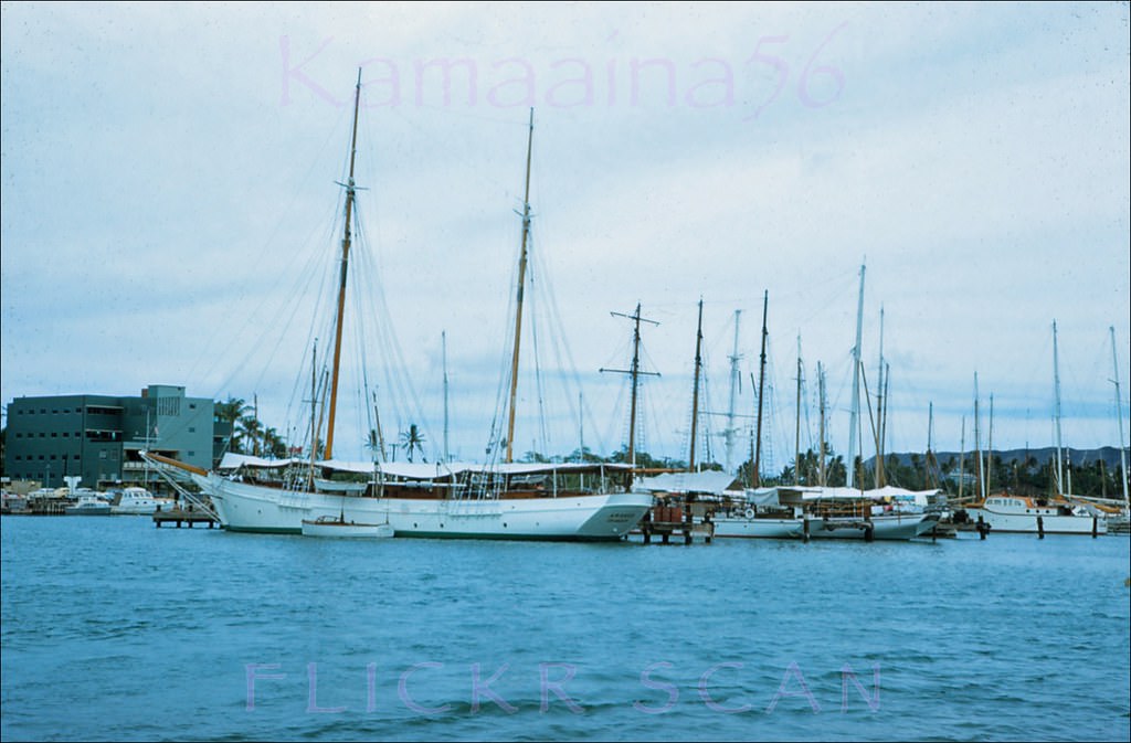 View from Ala Moana Park of Ala Wai Yacht harbor on south shore Oahu, 1955