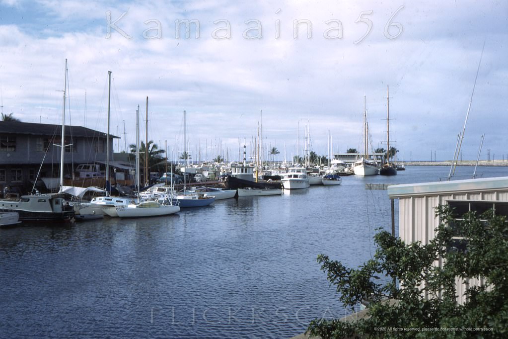 Makai (seaward) view of Ala Wai Yacht Harbor at the mouth of the Ala Wai Canal which divides Waikiki from the rest of Honolulu, 1968