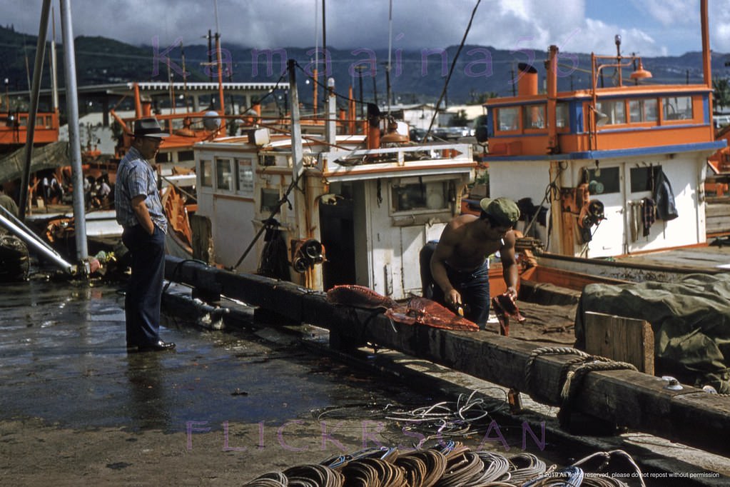 Wooden "sampan" tuna boats docked at Fisherman’s Wharf on Kewalo Basin in Honolulu, 1960