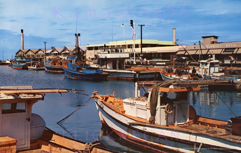 The sampan deep sea fishing fleet in Honolulu's Kewalo Basin, 1950s