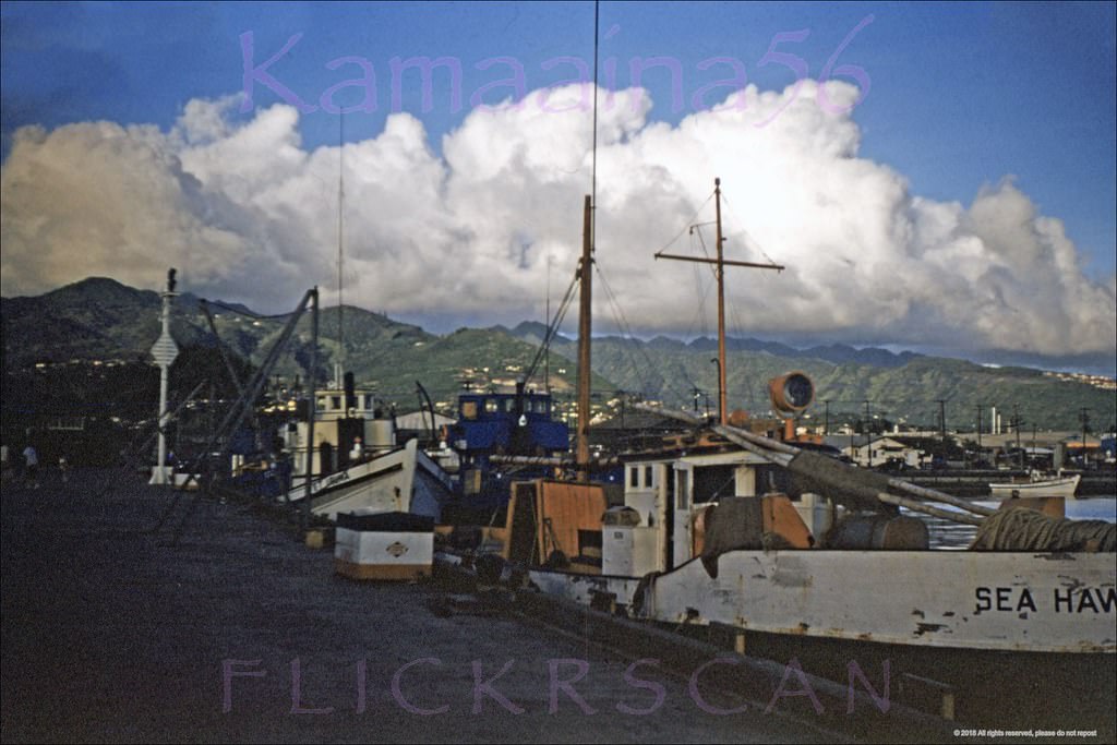 Kewalo Sampans Mauka, 1955