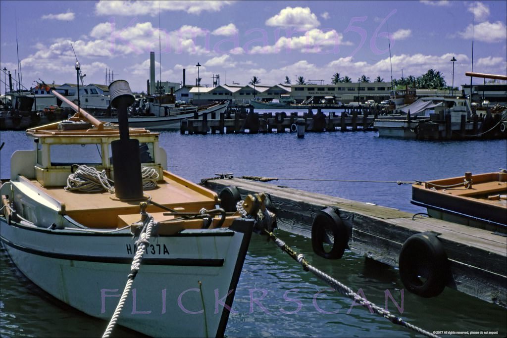 Aku Boats Kewalo Basin, 1967