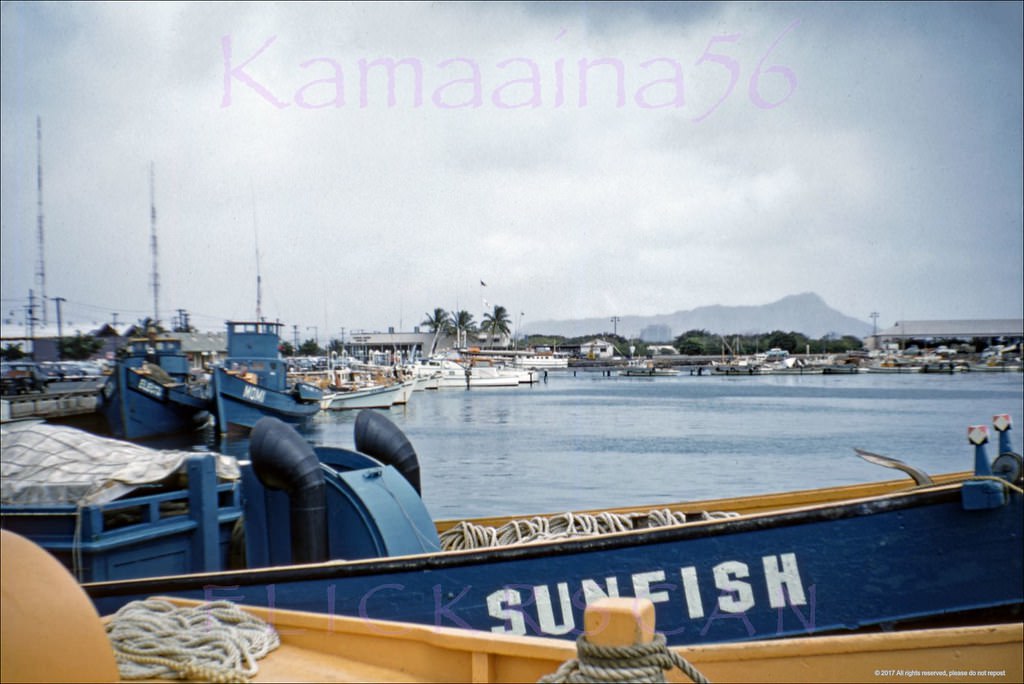 Kewalo Basin Diamond Head, 1950s