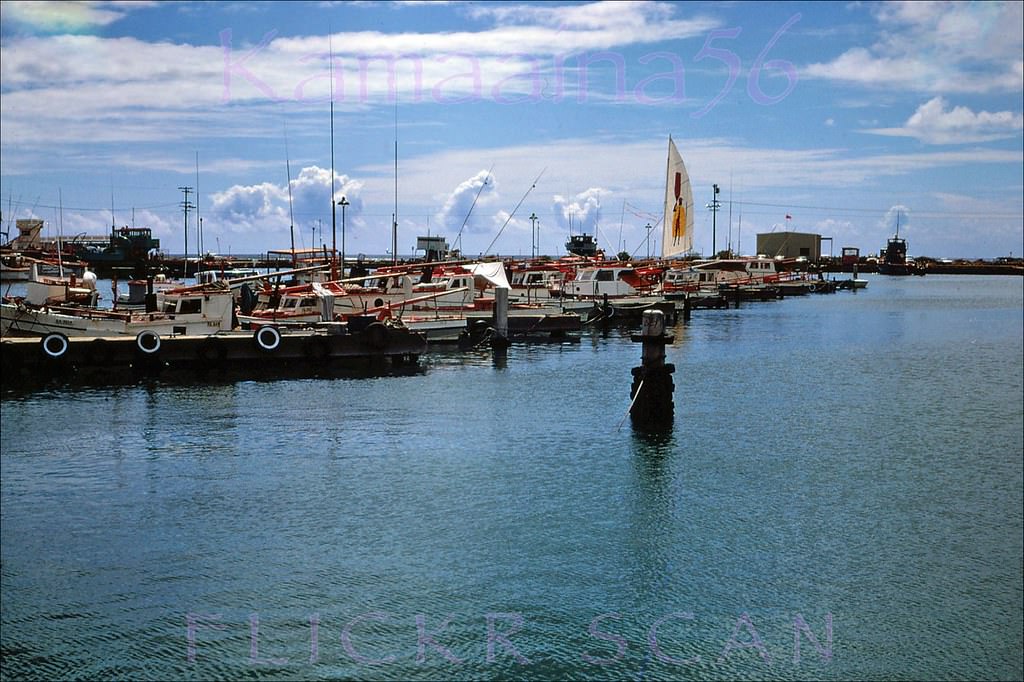 Sampans moored at Kewalo Basin in Honolulu, 1968