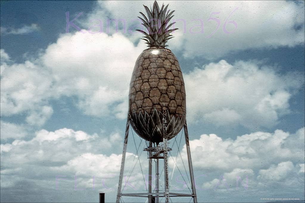 Dole Pineapple Tower, 1950s.