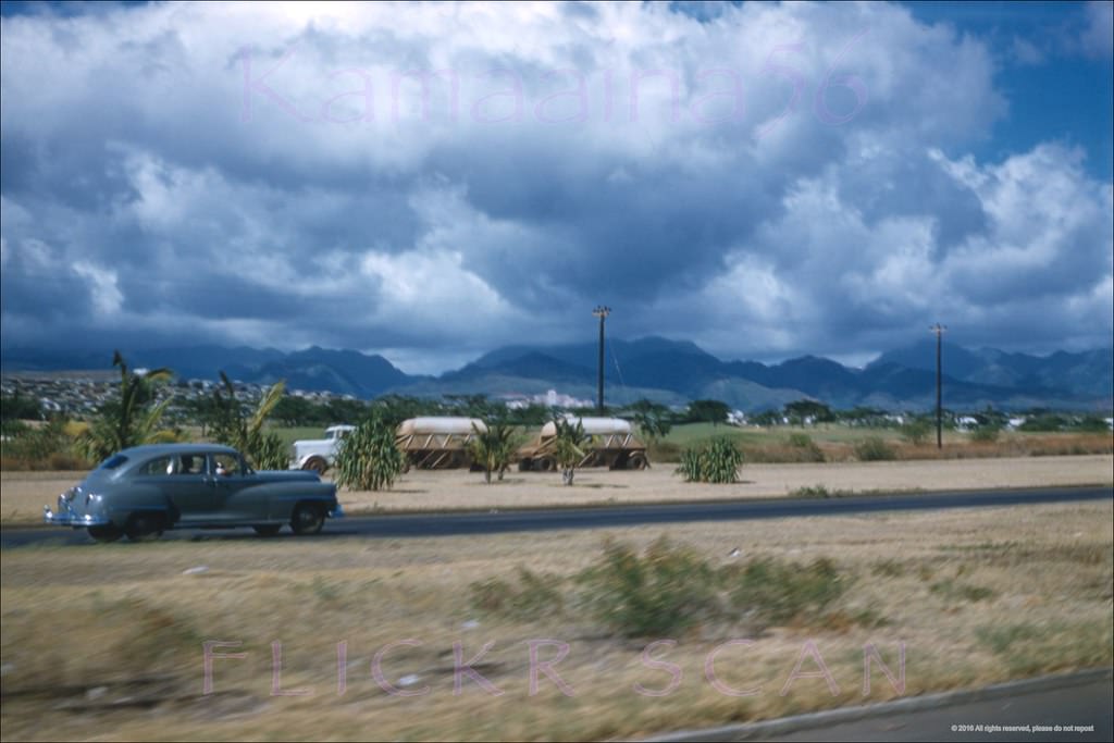 Kamehameha Hwy Mauka, 1950s.