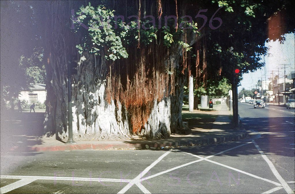 King & Keeaumoku Honolulu, 1958.