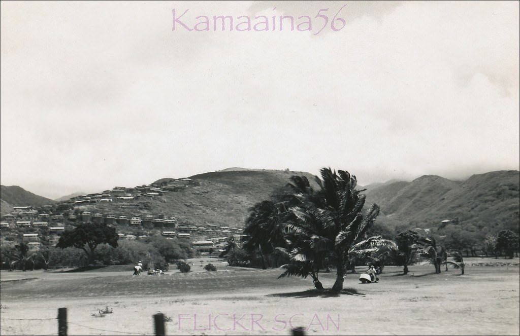 Waialae Late, 1950s.