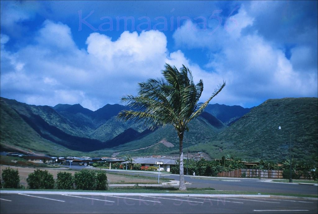 Aina Haina Mauka, 1951