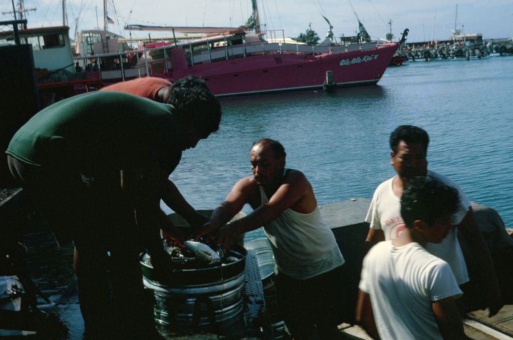 Native fishermen load their catch into a barrel, with the Ale Ale Kai IV catamaran visible in the background, Honolulu, Hawaii, 1970.