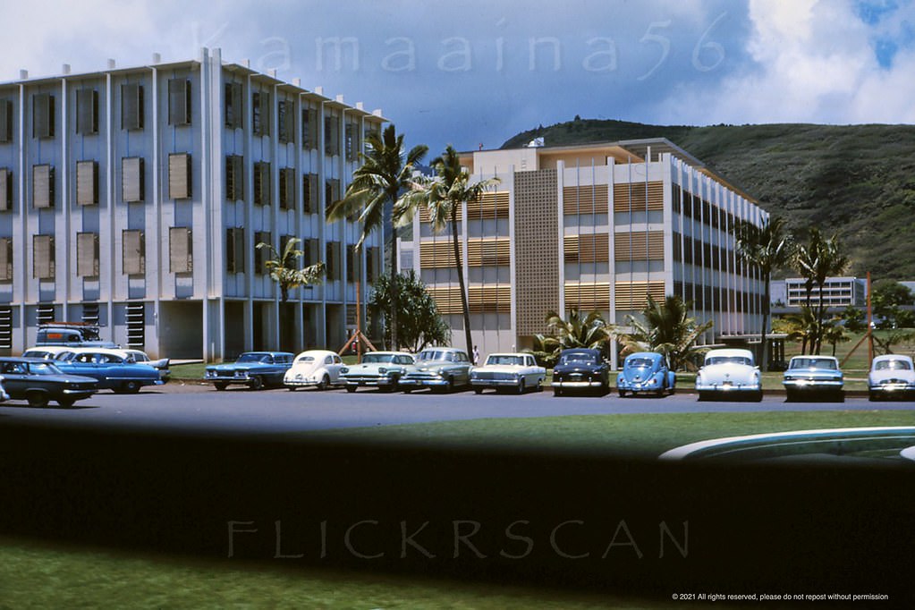 Webster and Snyder Halls (built 1962) at the University of Hawaii's Manoa Campus in Honolulu, 1963