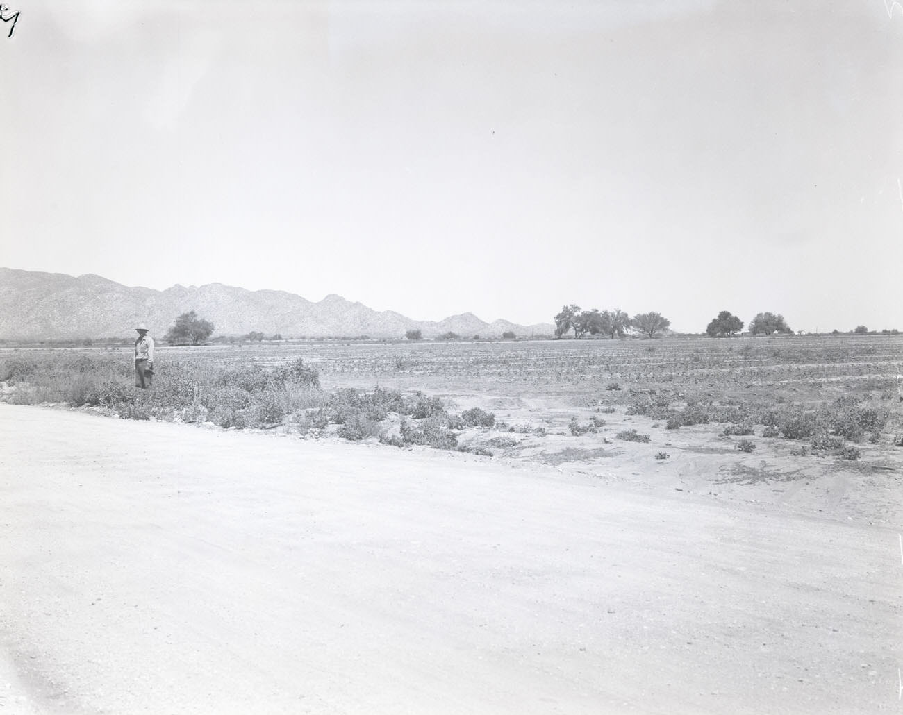 Road in Desert, 1942