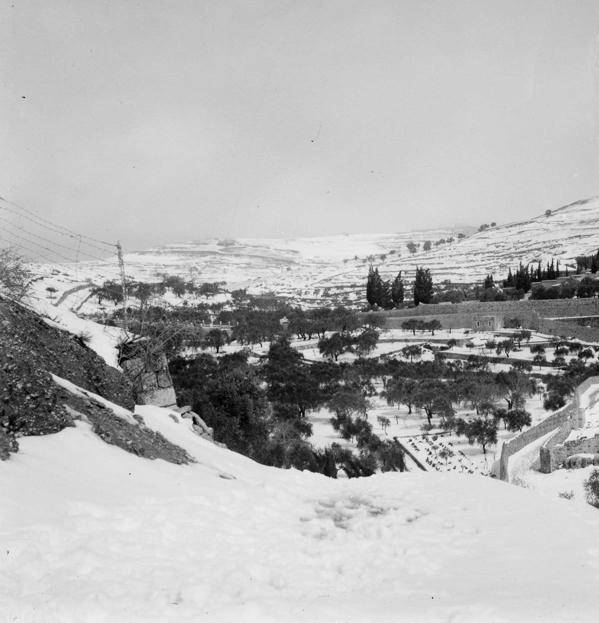 A Winter Miracle: Jerusalem's Snowfall in 1921