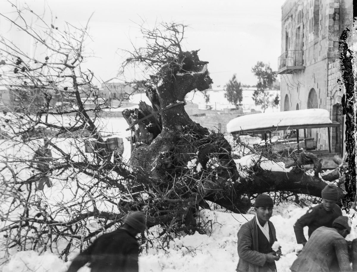 A Winter Miracle: Jerusalem's Snowfall in 1921