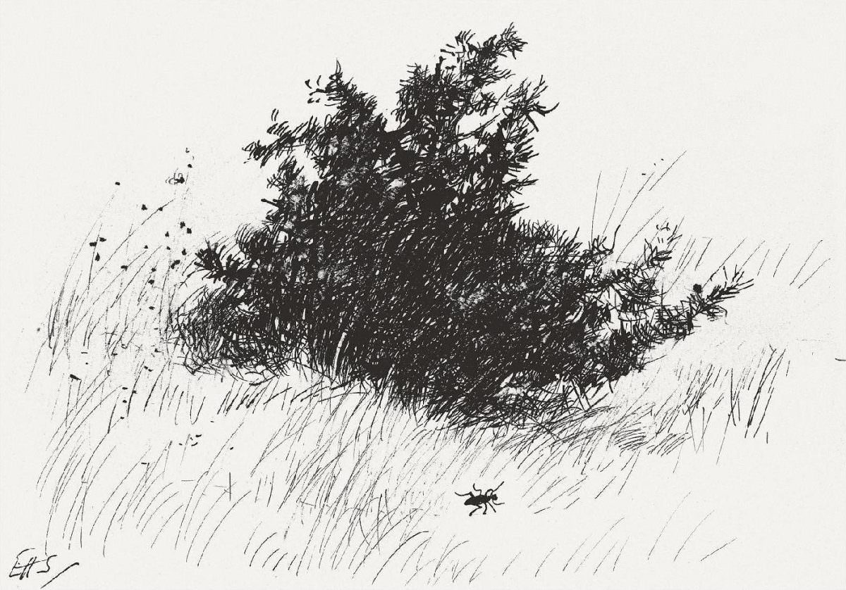 The Art of Winnie the Pooh: Ernest Howard Shepard's Illustrations for the Classic Tale