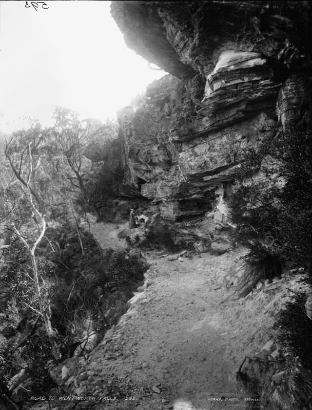 Road to Wentworth Falls, New South Wales, 1900