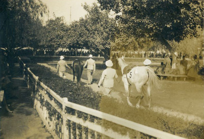 Alexandria Racecourse, Egypt