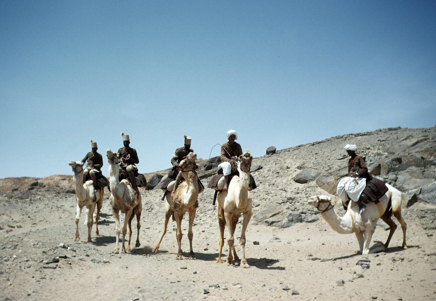 Egyptian Army soldiers ride their camels in the desert of Aswan, Egypt, 1948