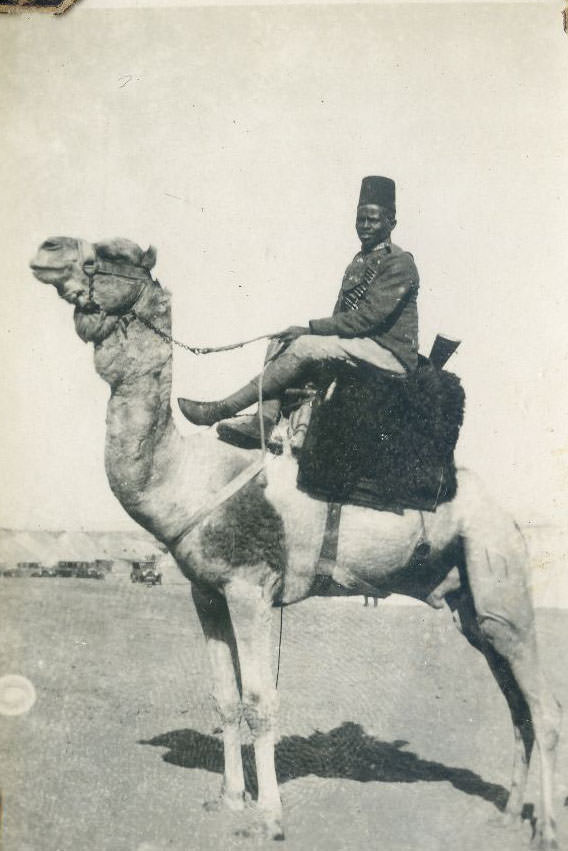 Desert Patrol, Egypt