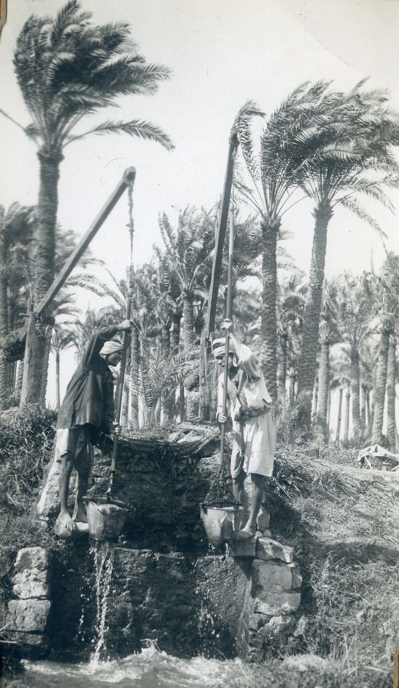 Drawing water, Egypt