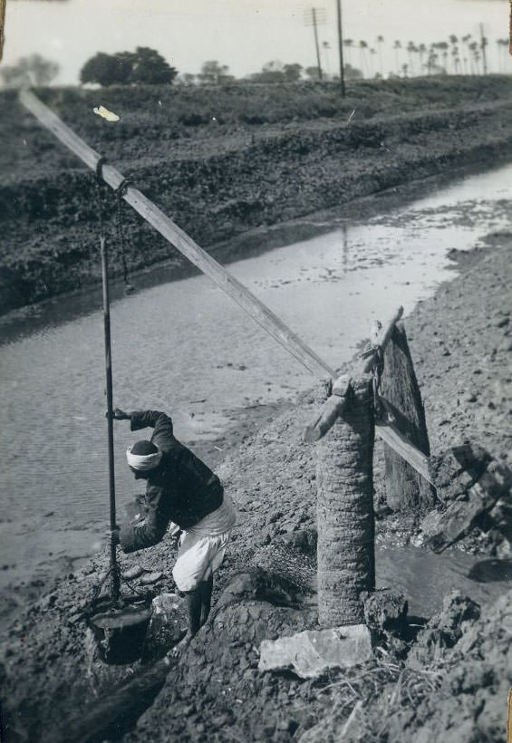 Drawing water, Egypt