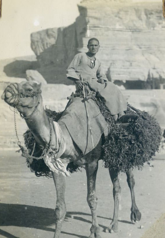 Native on camel, Egypt