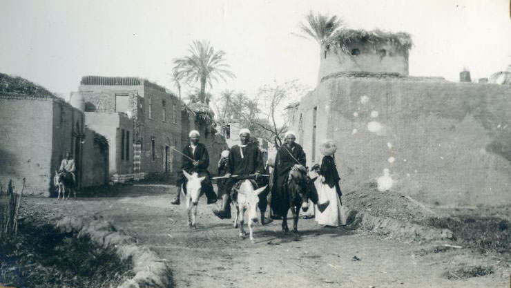 Natives, Egypt