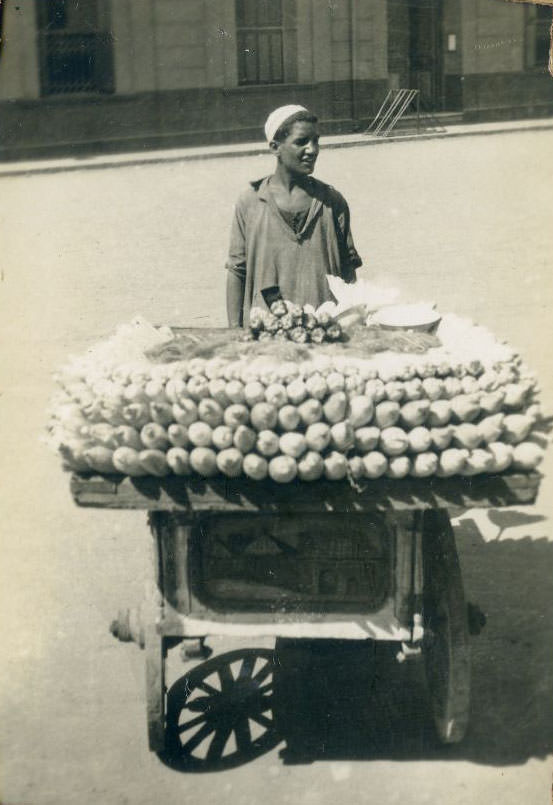 Selling sweet corn, Egypt