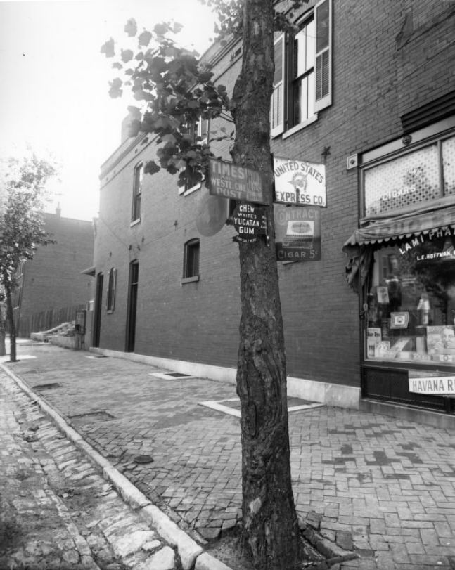 Tree along South 11th Street with signs attached to it. The tree is in front of Lami Pharmacy, which was at the intersection of South 11th Street and Lami Street, 1900