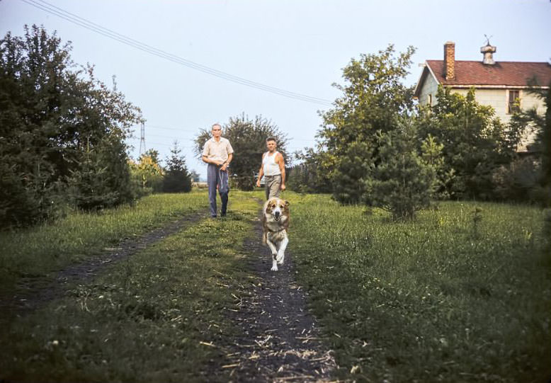 Tippy Leaving Dog Kennel, 1961