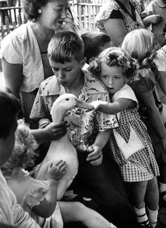 This duck’s long neck provided a nice handhold for one boy.